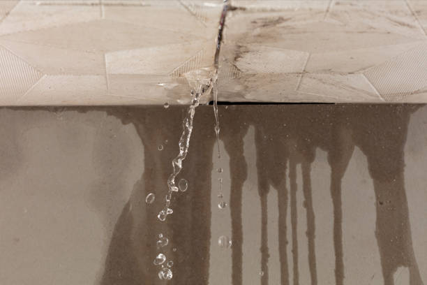 Professional Flood Damage Cleanup technician working in Woodworth, ND